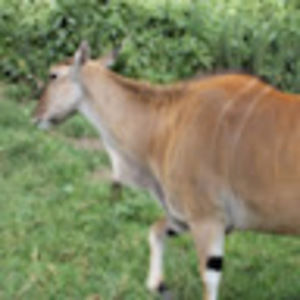 Meet your Posher, Tamara